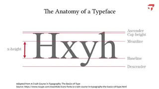 The anatomy of a typeface: x-height, ascender, baseline, descender