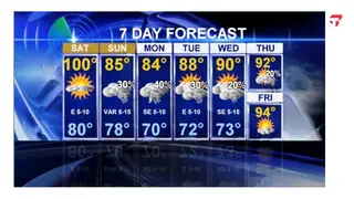 A seven-day forecast with every number competing for attention