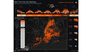 New York City rat sightings as a dark-themed dashboard