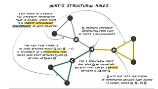 Burt's structural holes: brokers who bridge separate groups