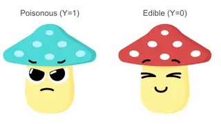 Poisonous or edible? Setting up a SHAP example with mushrooms