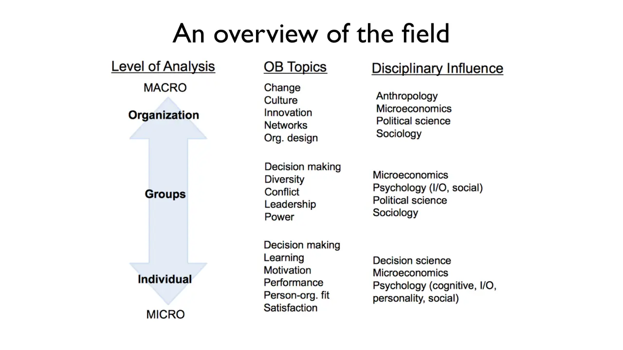 Slide: Three levels of analysis, from the individual up to the organization