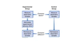 Experimental and control groups, measured before and after