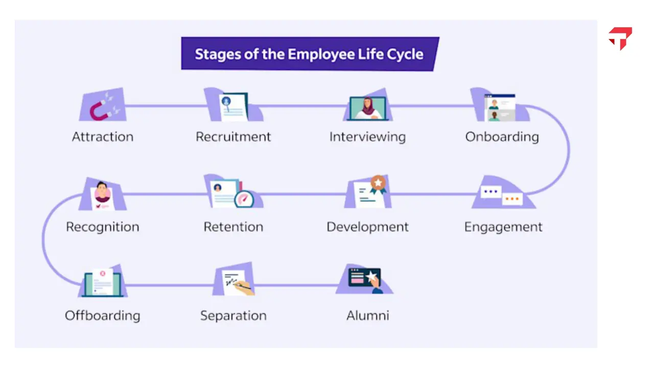 Slide: Stages of the employee life cycle