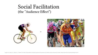 Social facilitation: we ride faster with an audience