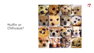 Muffin or chihuahua? You can spot it. Now write the rule.
