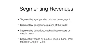 Ways to segment revenue