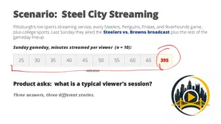 Steel City Streaming: what is a typical session when one viewer watched 395 minutes?